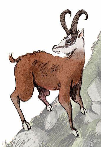 Illustration
