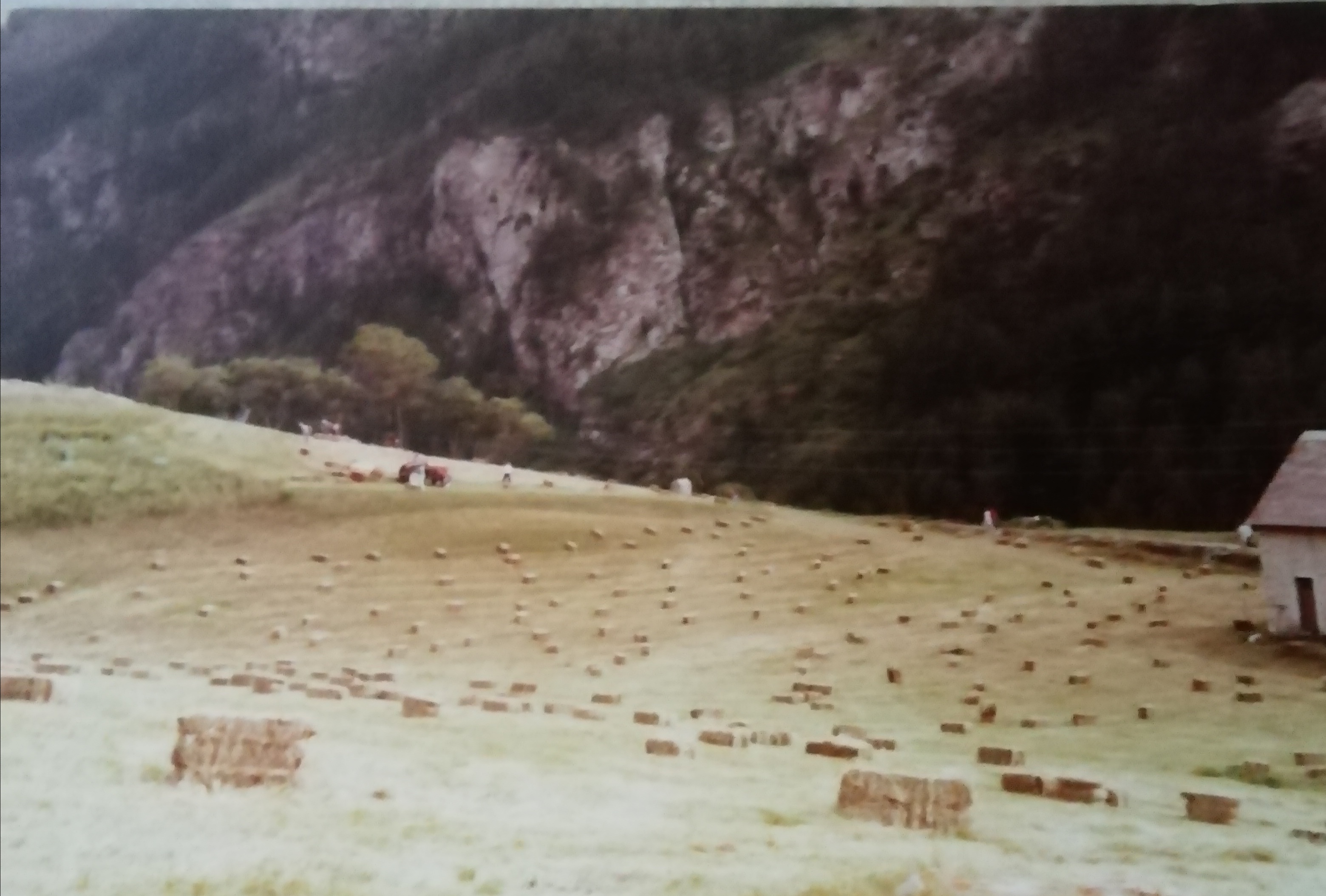 Villar d'Arène "Carlian"