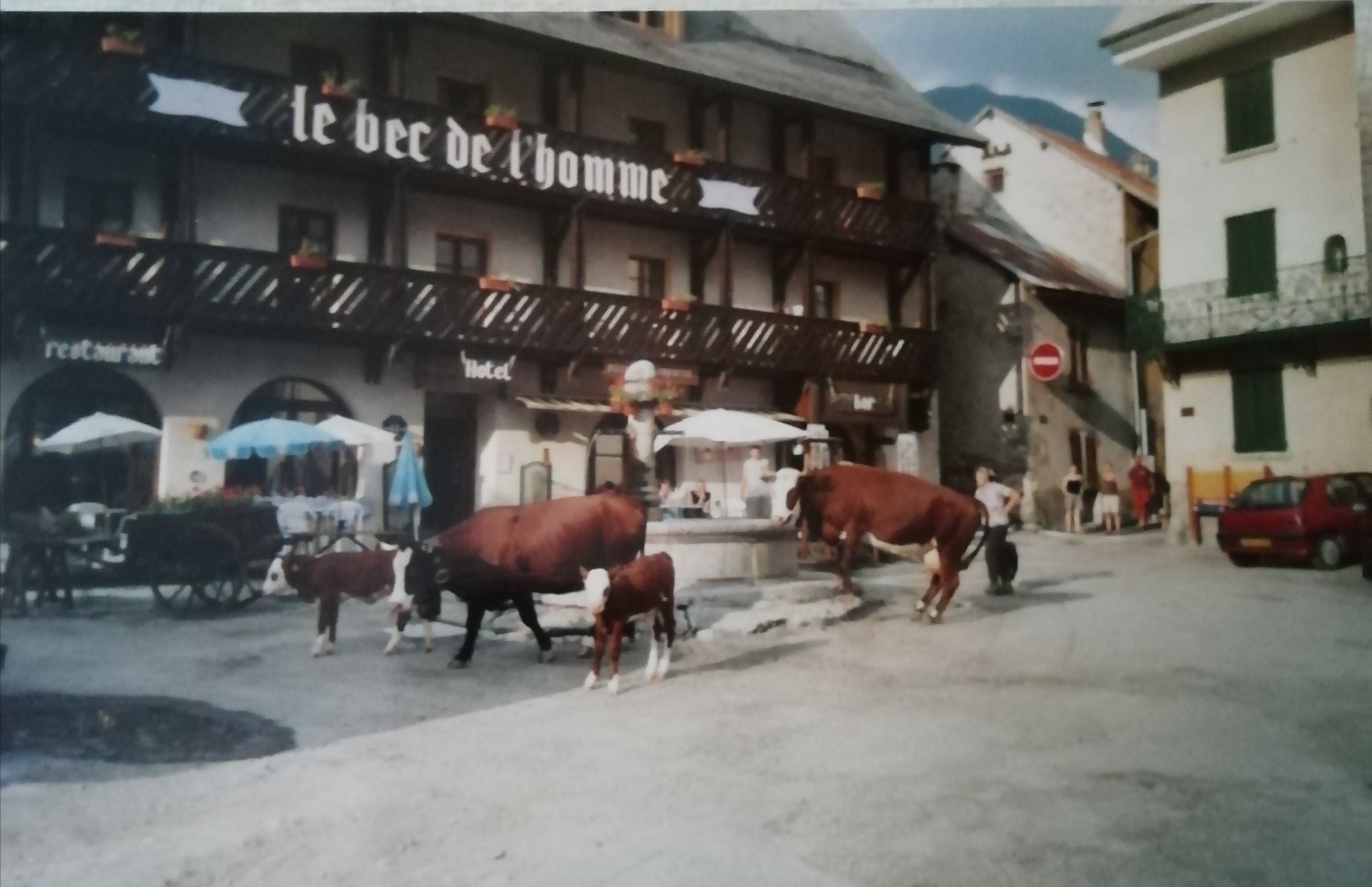 Vaches s'abreuvant a La Fontaine sur la place de Villar d'Arène